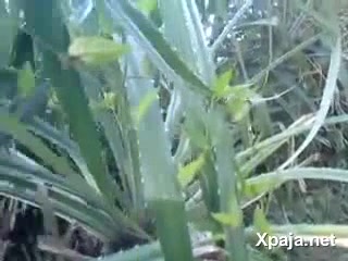 Dios mío, lo encontró dando a Etilla