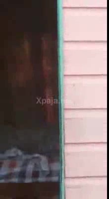 Black OMG se desnuda en discusión con otro