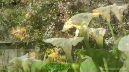 El tipo amarra y pila de ñema