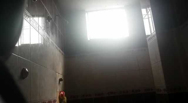 Mostrado travieso en el baño
