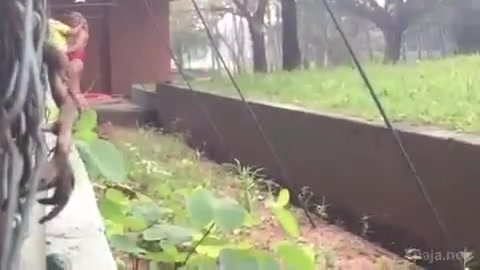 Pilados borracho pareja follando