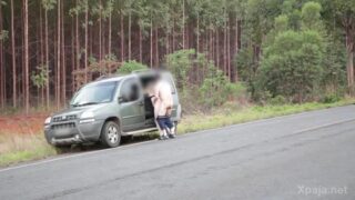 Sexo en la carretera