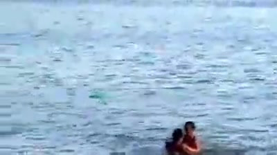 Sigue a nadie los vio xD