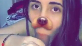 Un buen cachorro