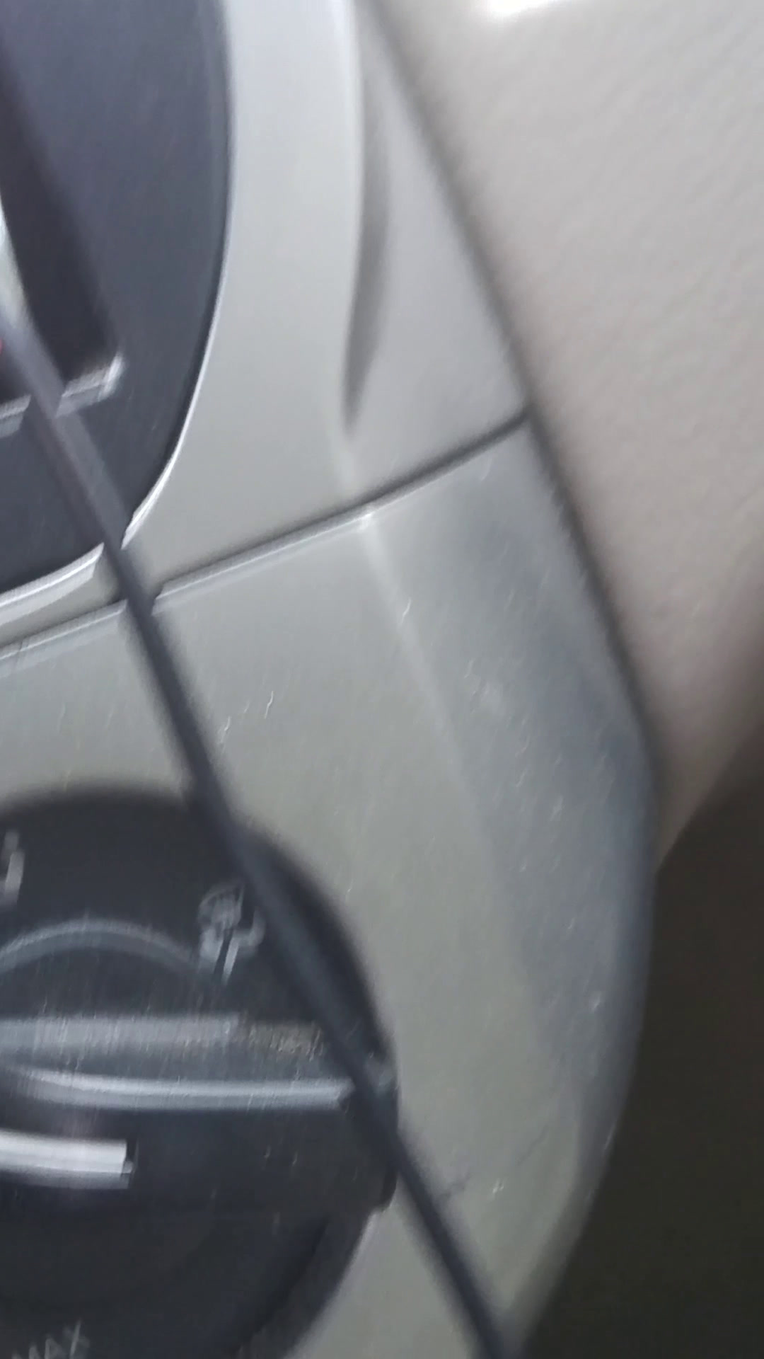 Picé Morrita Avotote de Patas