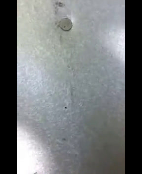 Atrapado vertiendo un polvo en el callejón